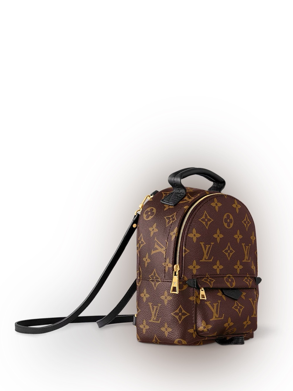 Louis Vuitton Palm Springs Mini Monogram - Picture 3 of 14